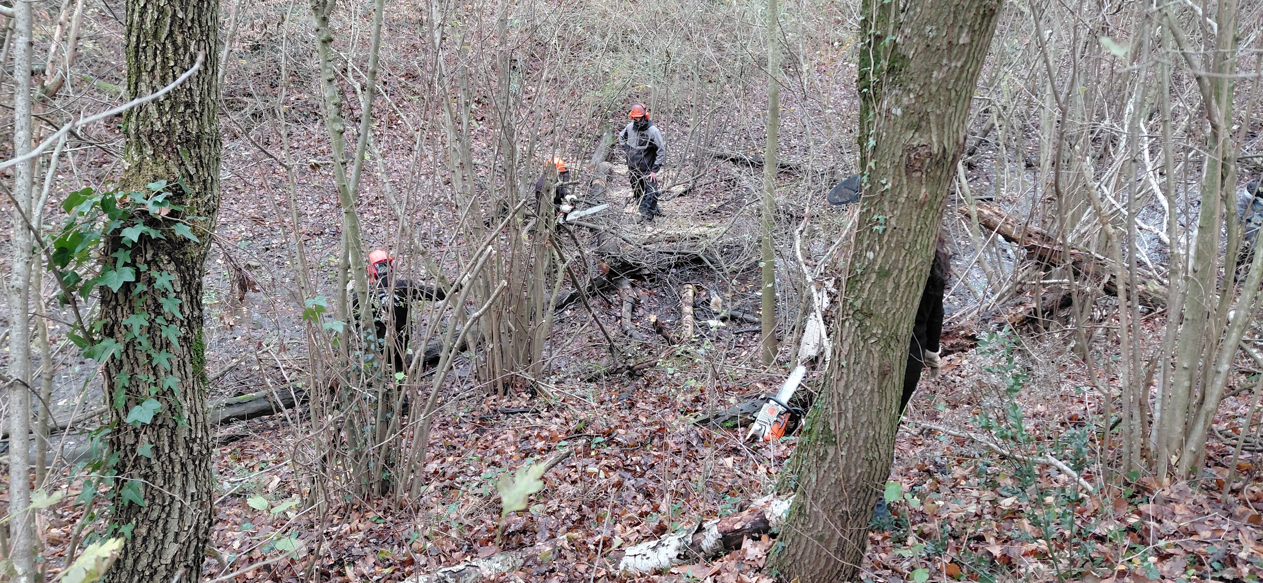 Chantier école GMNF